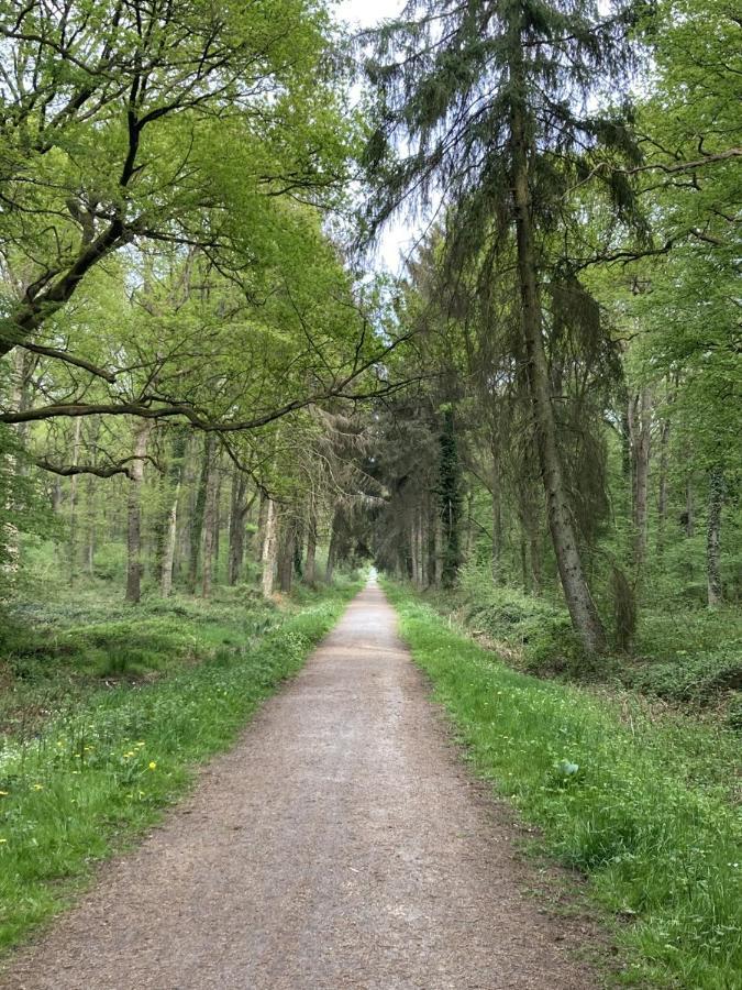 Le Chalet De La Longere Beuvry-la-Foret エクステリア 写真